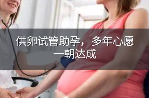 供卵试管助孕,多年心愿一朝达成