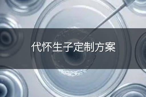 代怀生子定制方案