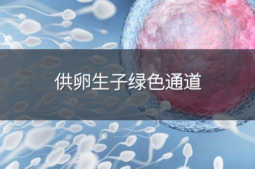 供卵生子绿色通道