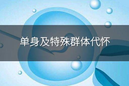 单身及特殊群体代怀