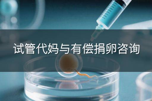 试管代妈与有偿捐卵咨询